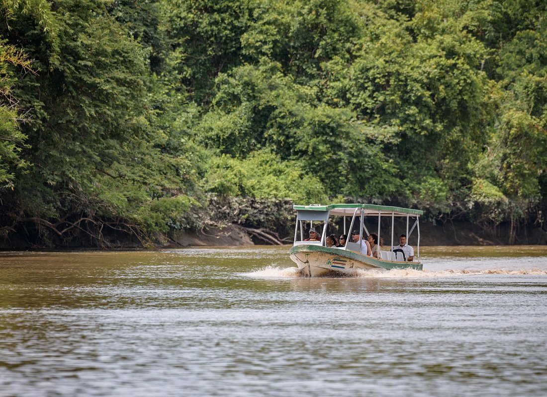 River safari boat among waterbirds on the Tempisque River in Palo Verde National Park