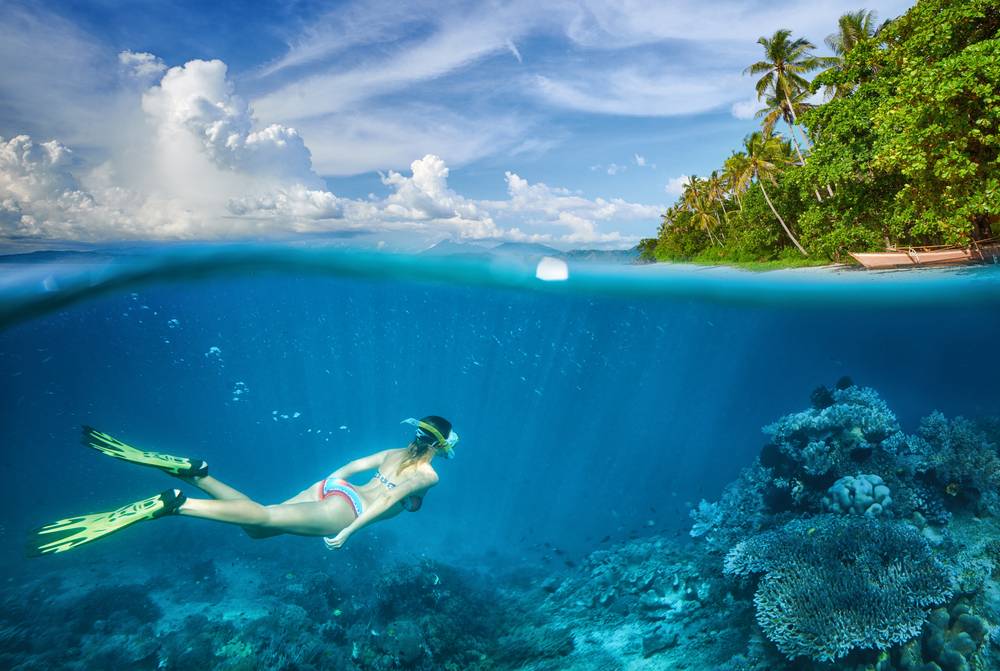 Snorkeling and scuba diving with rays at the Catalina Islands off Guanacaste, Costa Rica